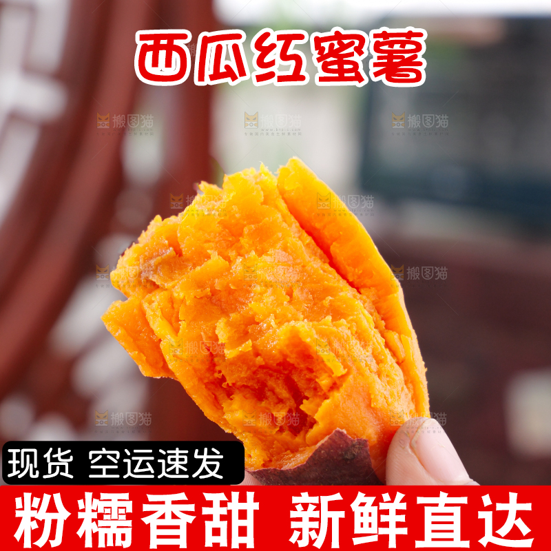 西瓜红蜜薯