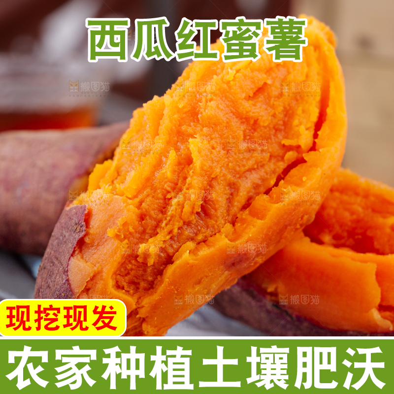 西瓜红蜜薯