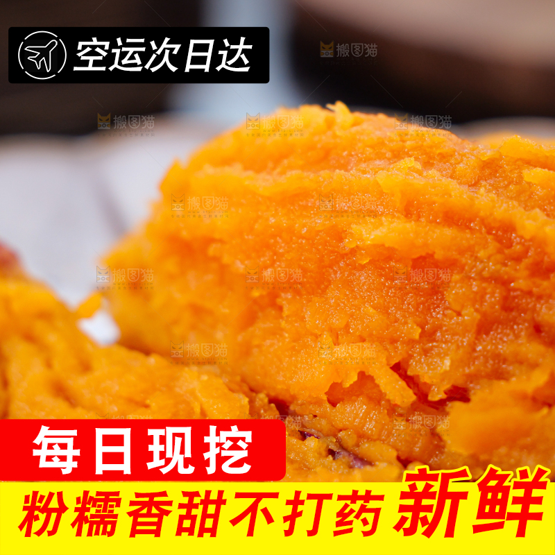 西瓜红蜜薯