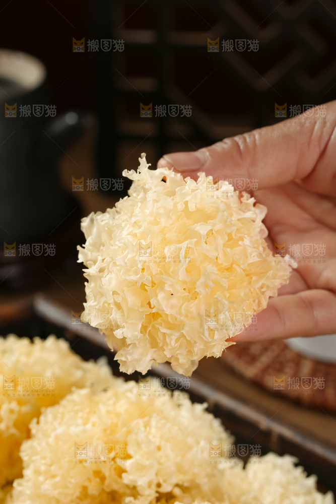 小银耳
