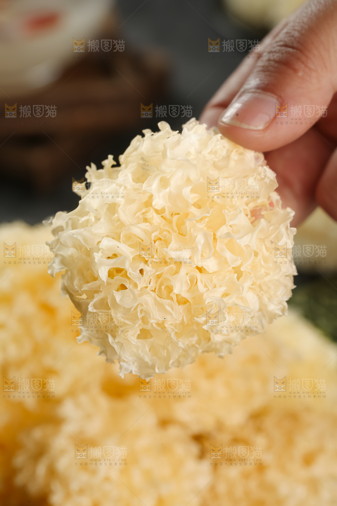 小银耳