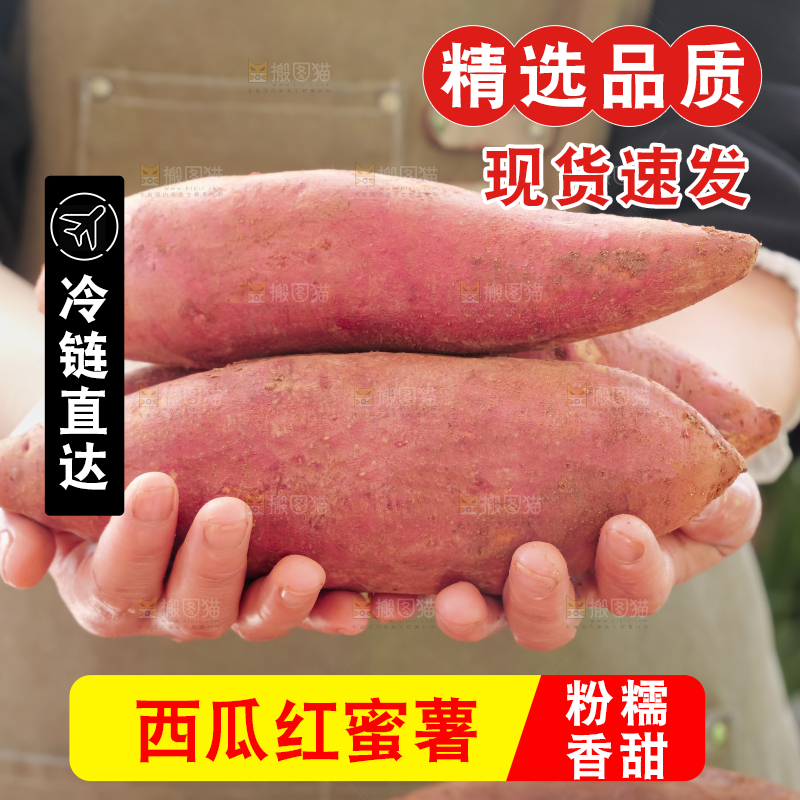 西瓜红蜜薯