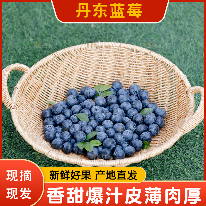 蓝莓
