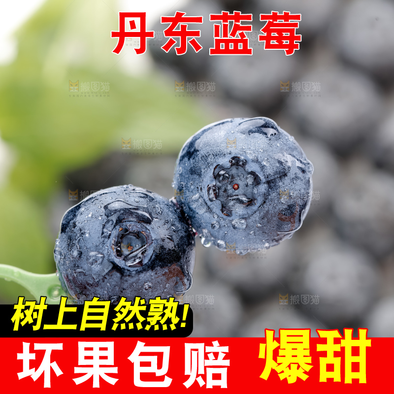 蓝莓