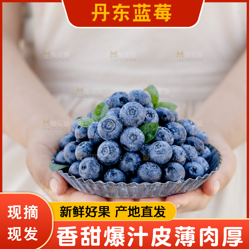蓝莓