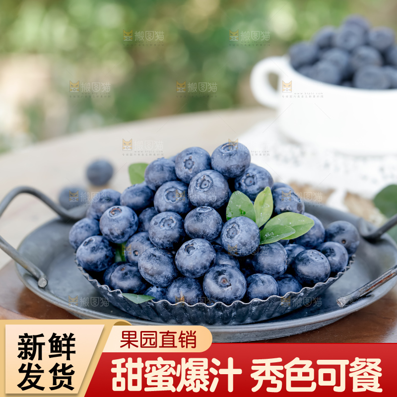 蓝莓