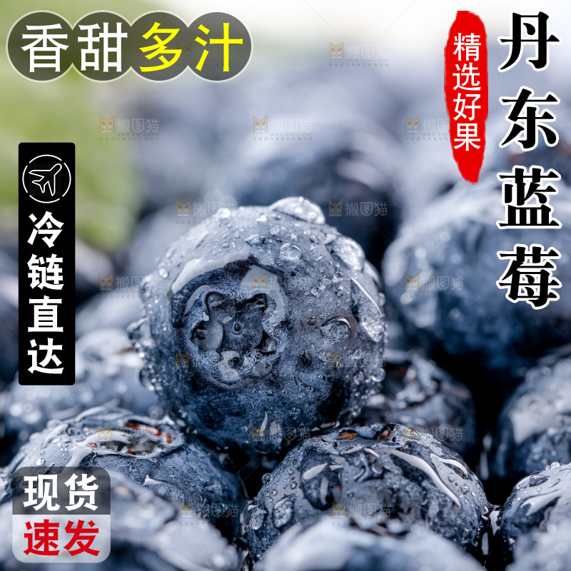 蓝莓