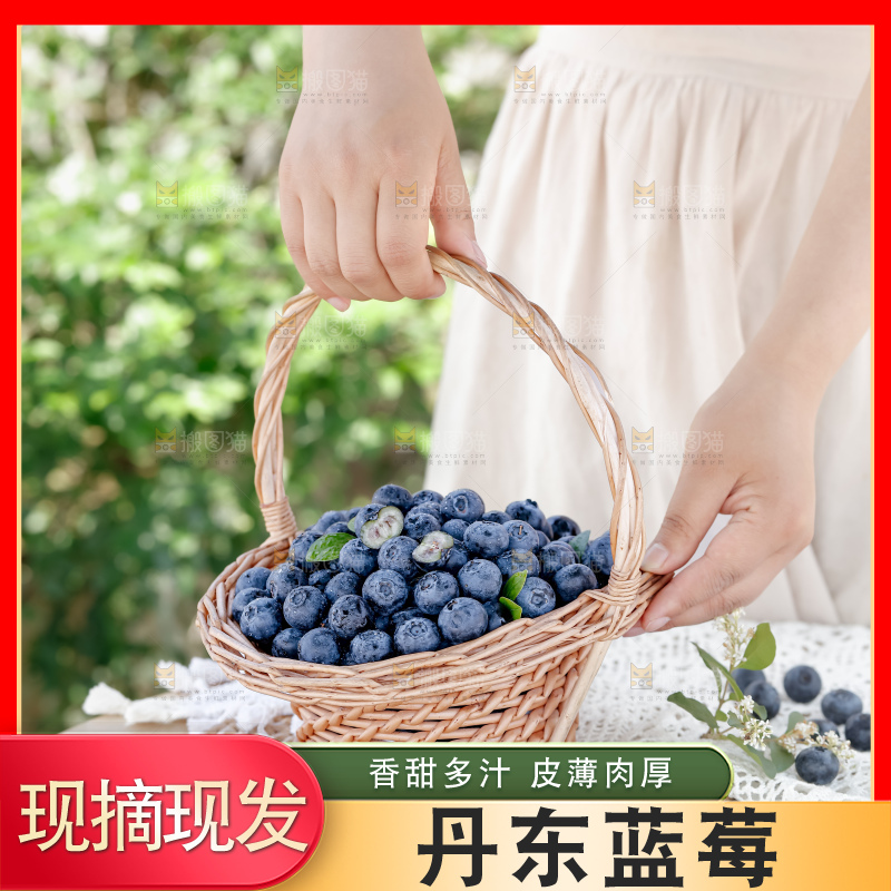 蓝莓