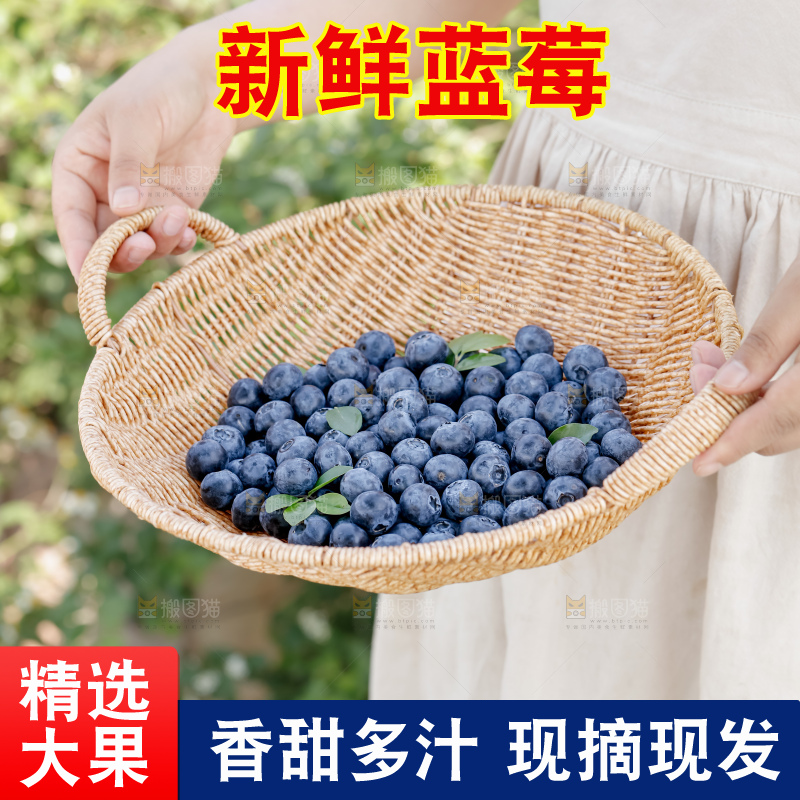 蓝莓