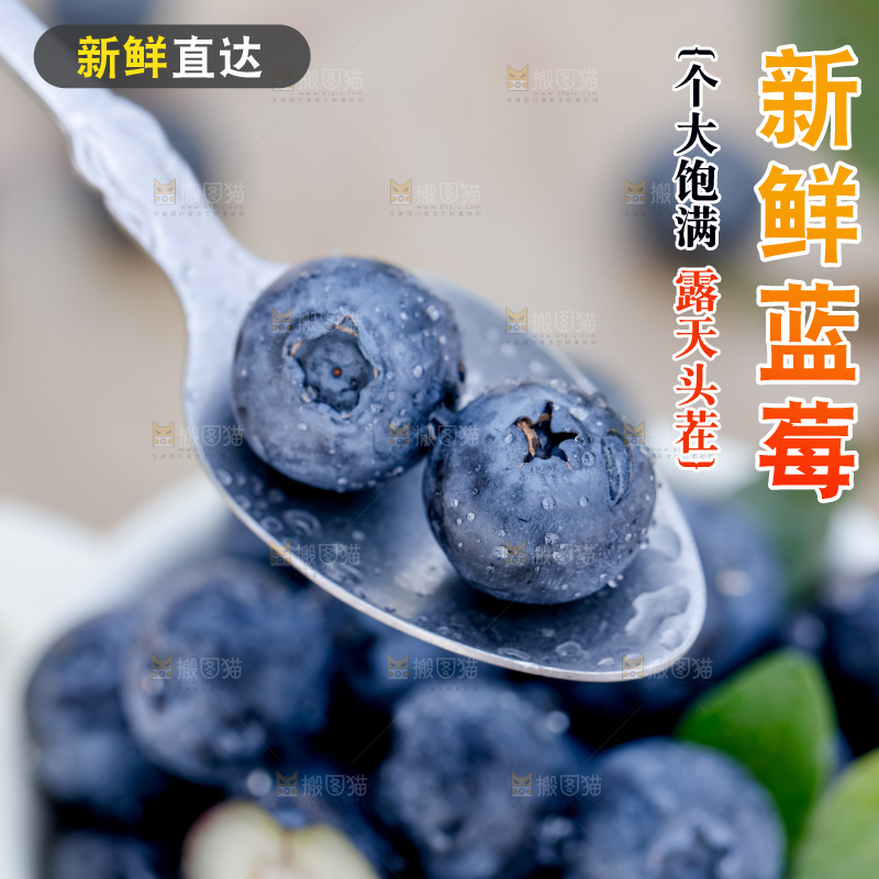 蓝莓