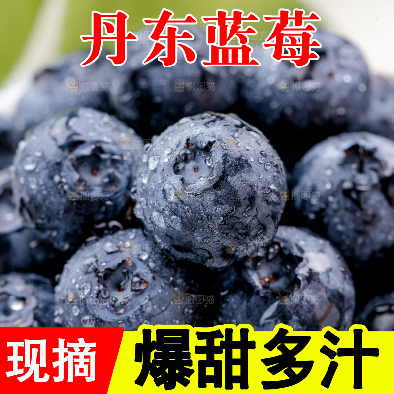 蓝莓