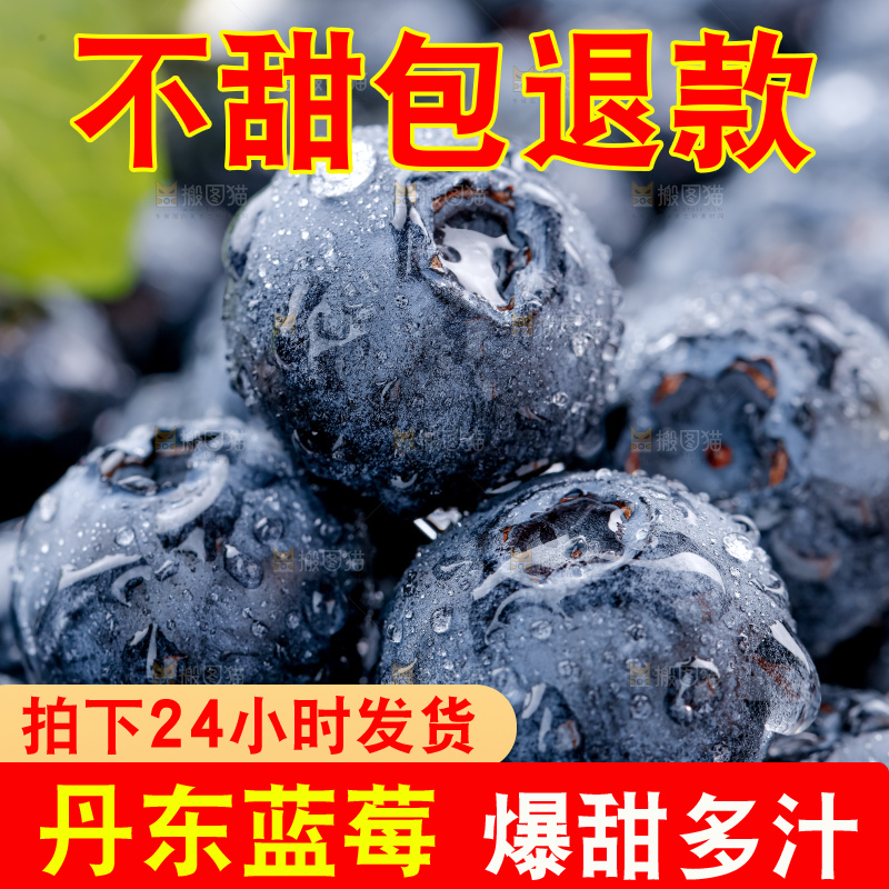 蓝莓
