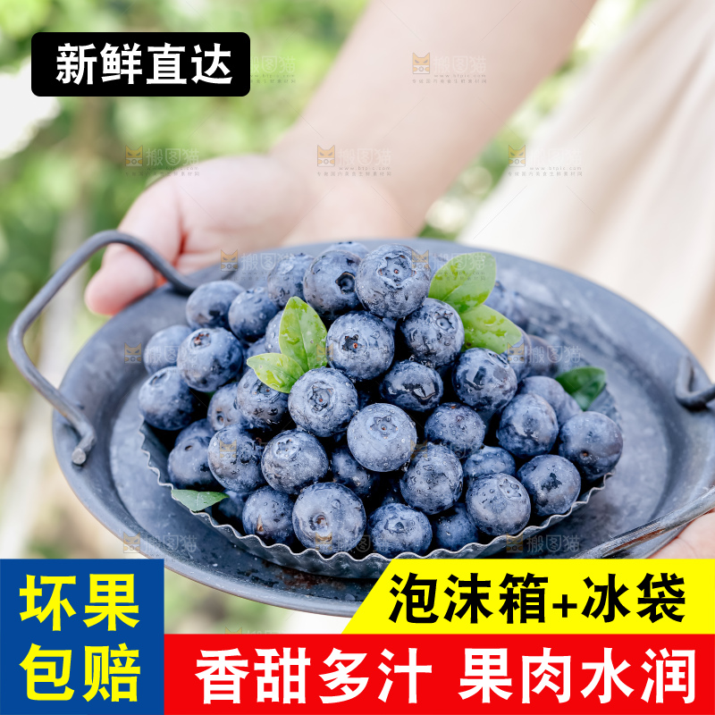 蓝莓