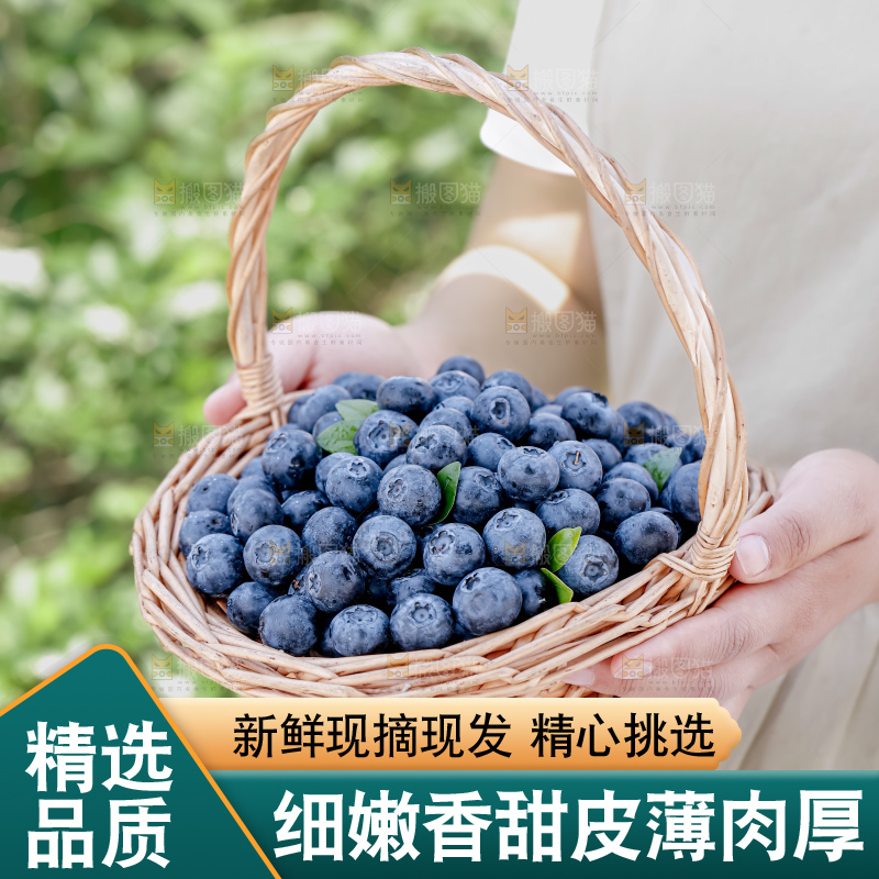 蓝莓
