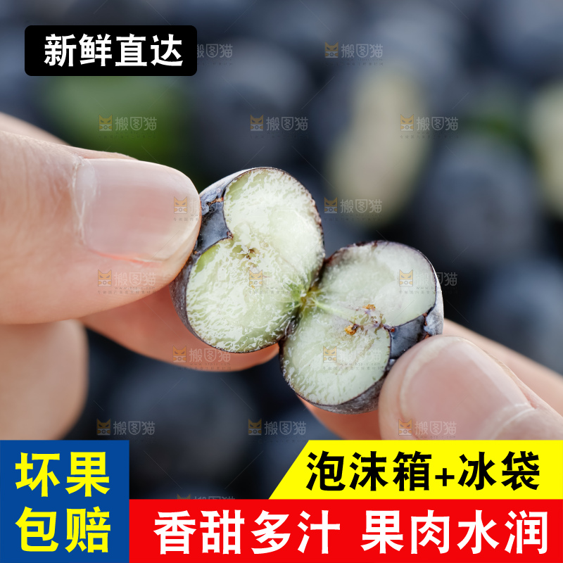 蓝莓