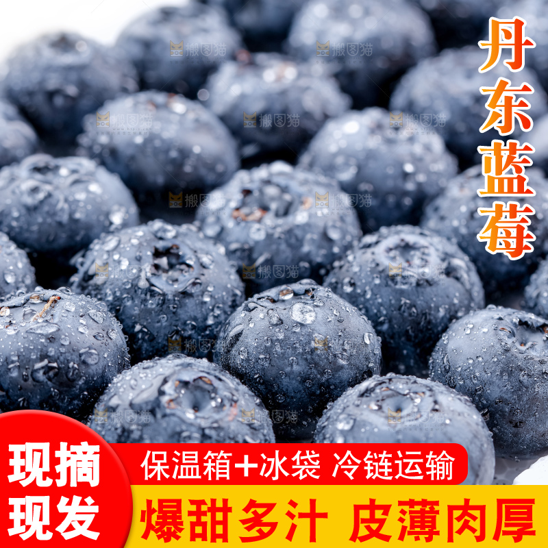 蓝莓