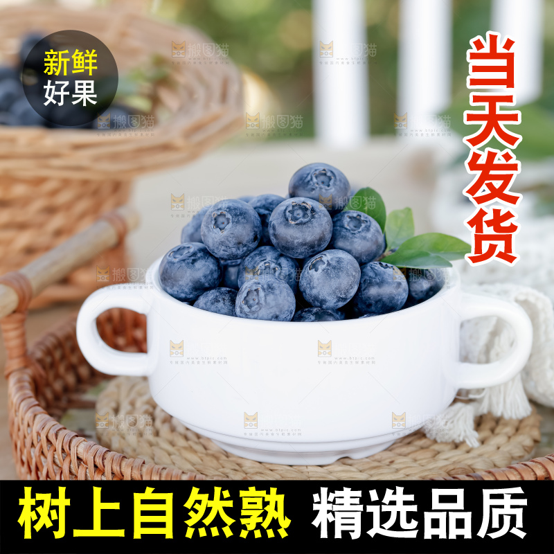 蓝莓