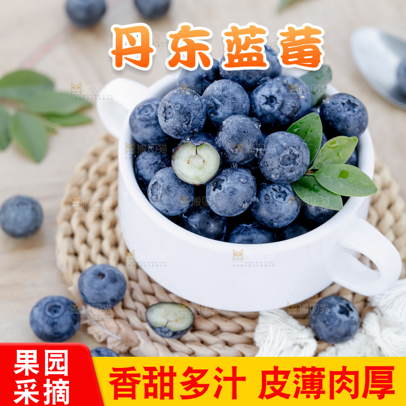 蓝莓