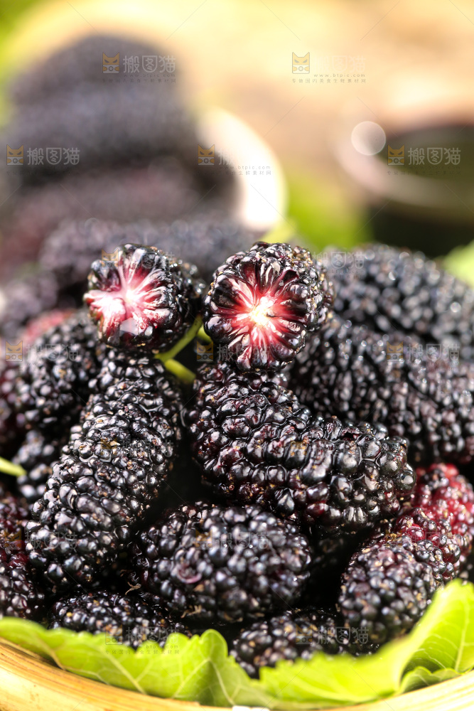 桑葚