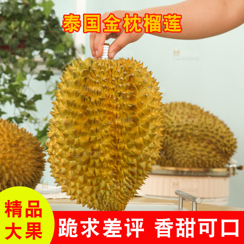 金枕榴莲