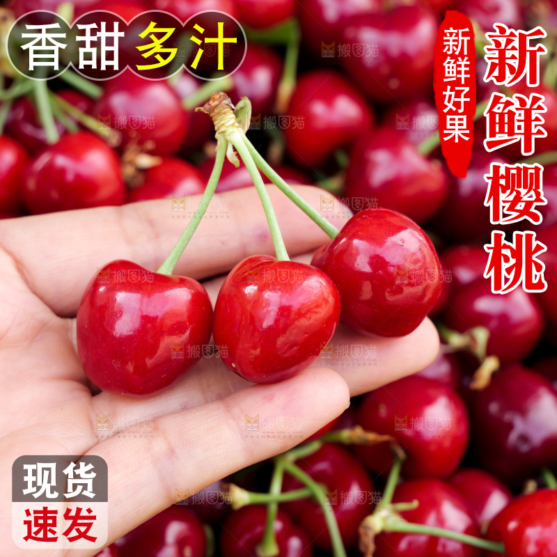 樱桃