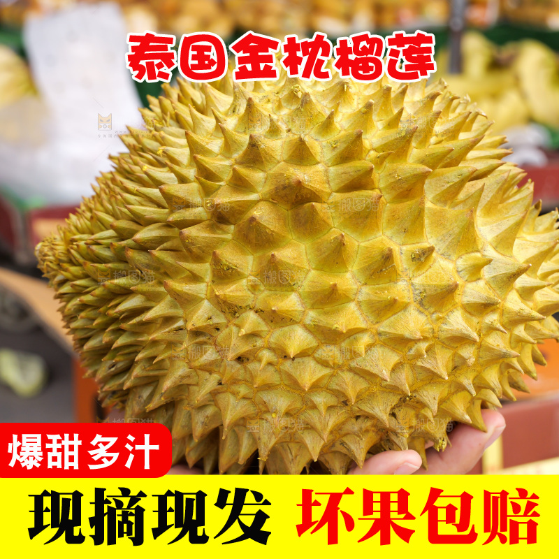 金枕榴莲