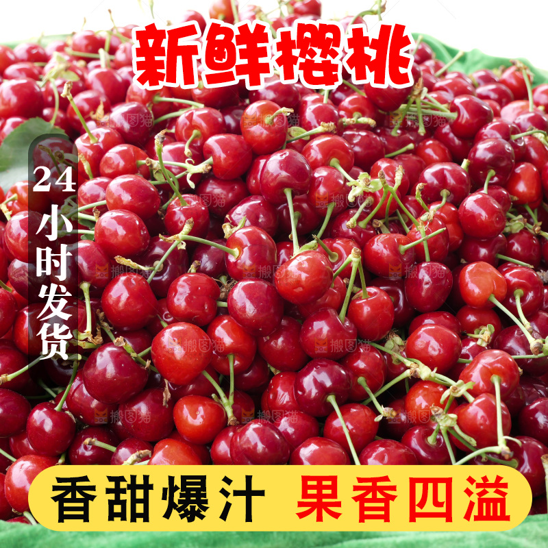 樱桃