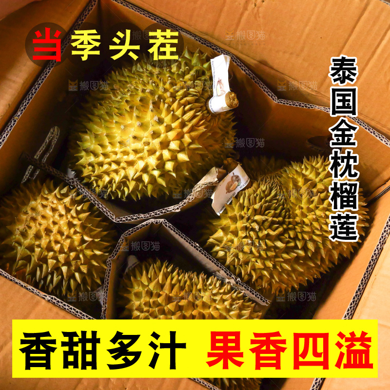 金枕榴莲