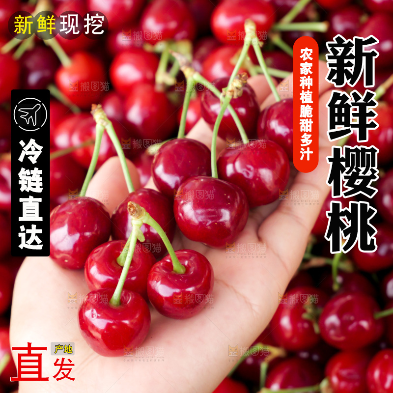 樱桃