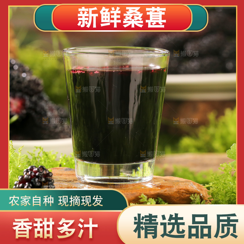 桑葚