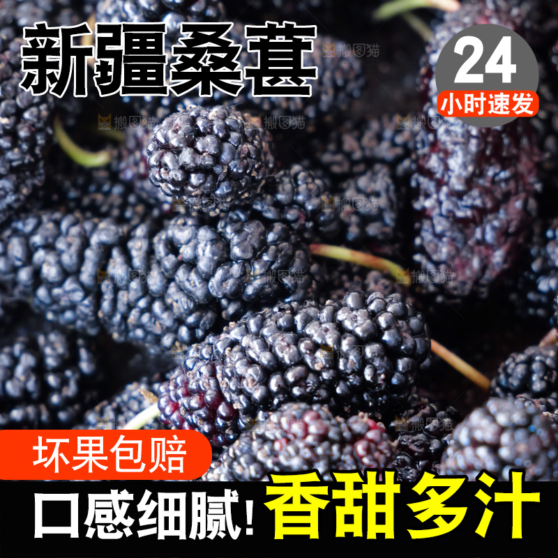 桑葚