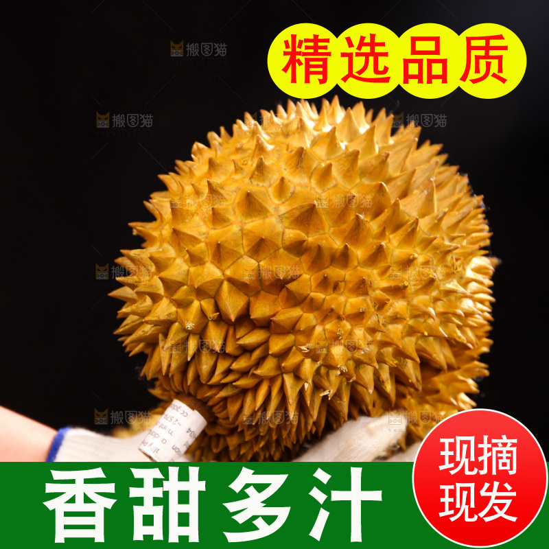 金枕榴莲