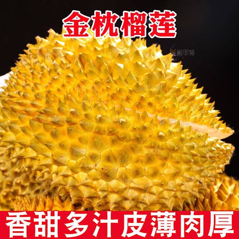 金枕榴莲