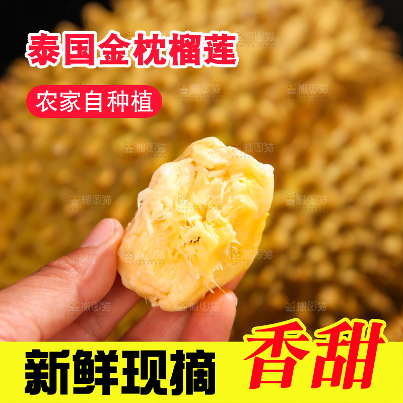 金枕榴莲