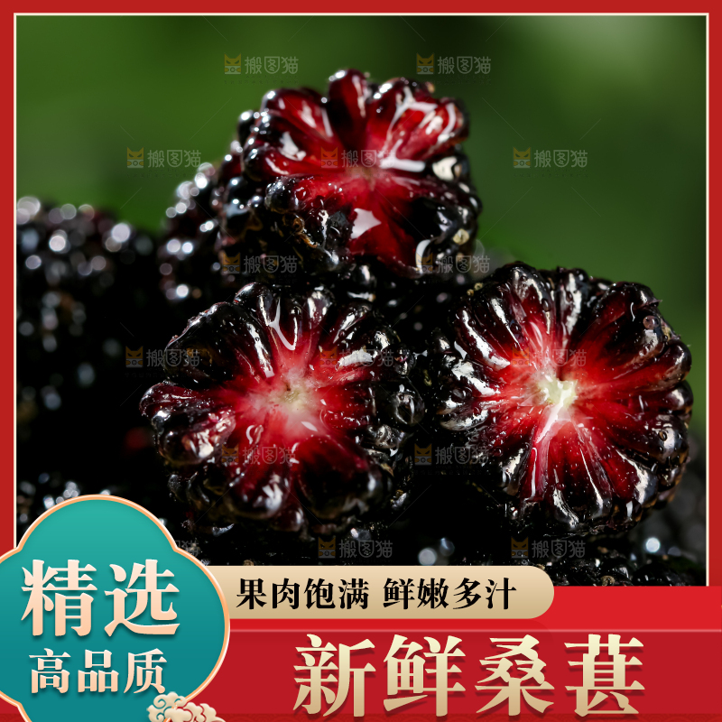 桑葚