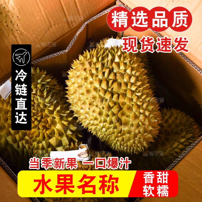 金枕榴莲