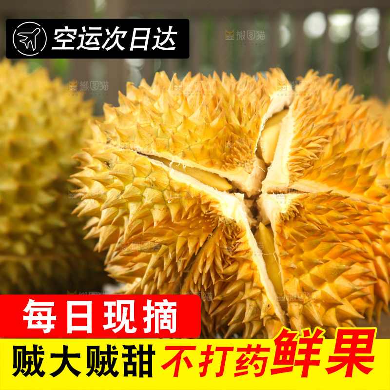 金枕榴莲