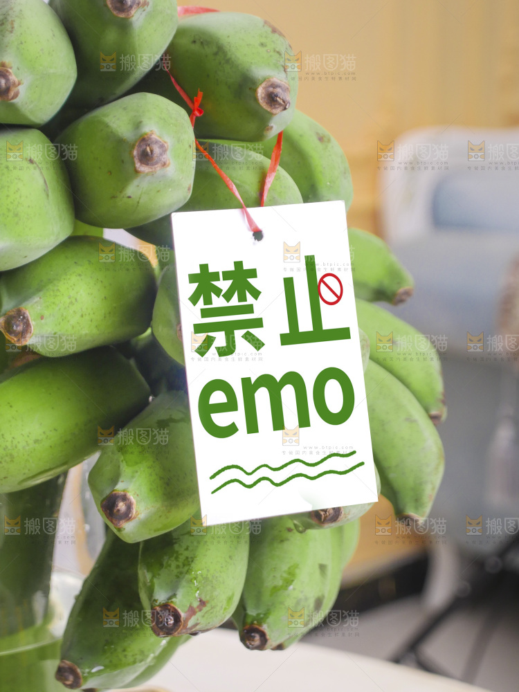 水培香蕉