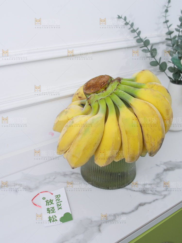 水培香蕉