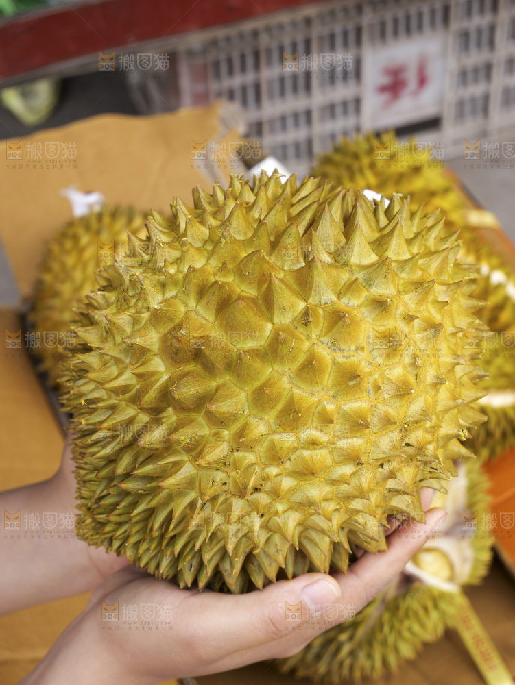 金枕榴莲