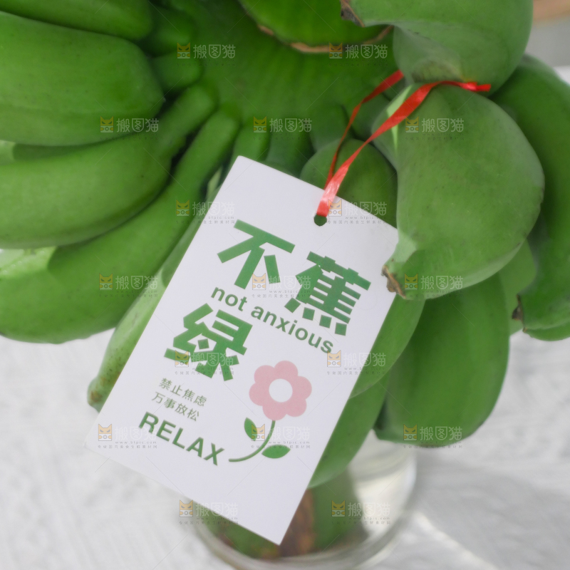 水培香蕉
