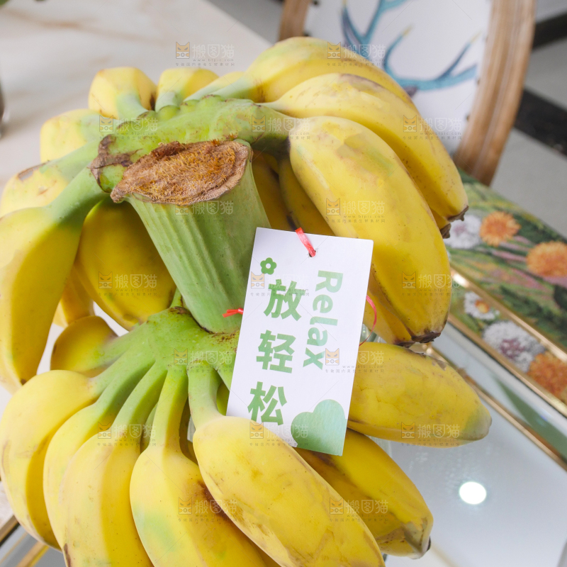 水培香蕉