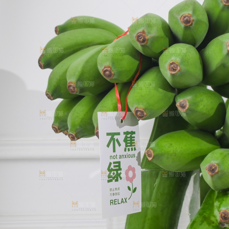 水培香蕉