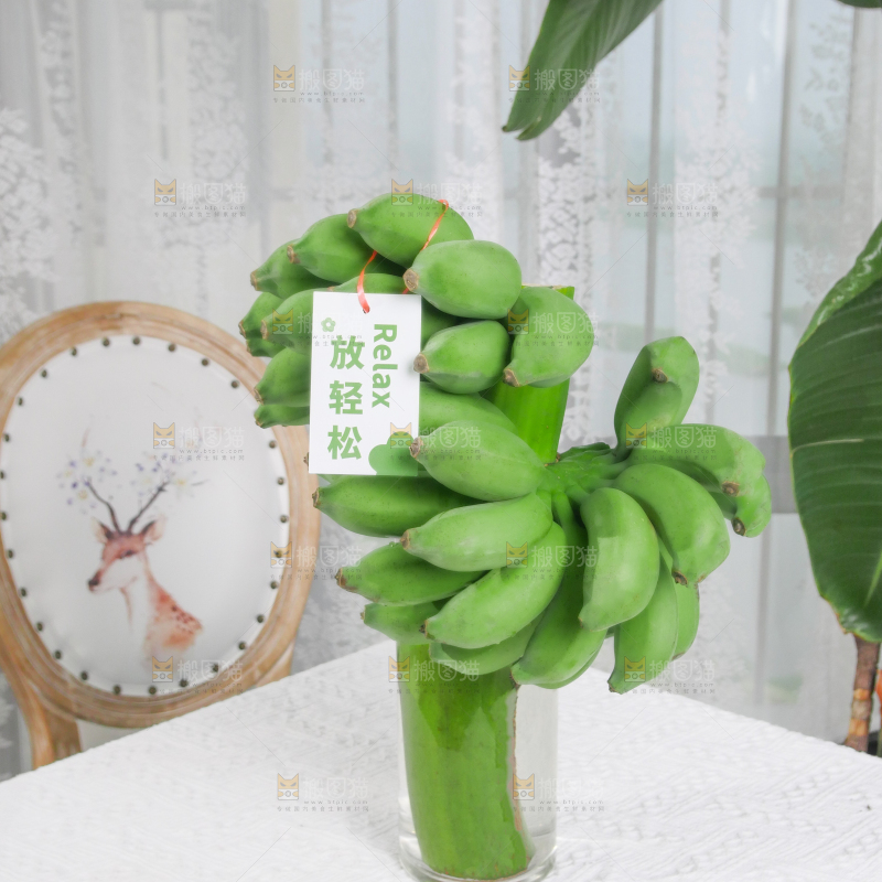 水培香蕉