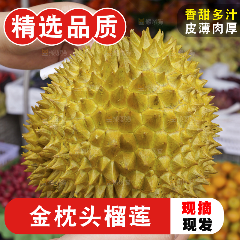 金枕榴莲
