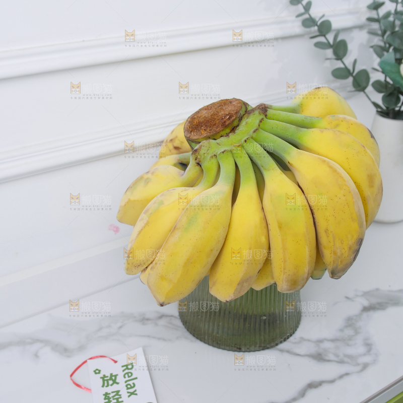 水培香蕉