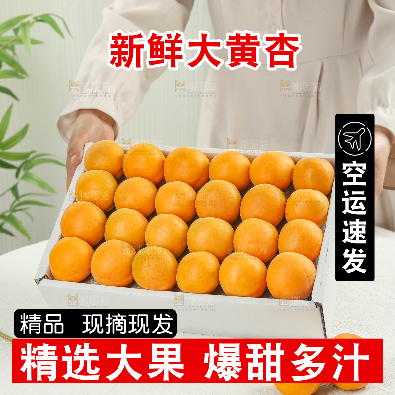 大黄杏