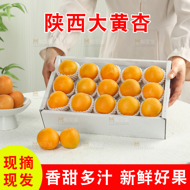 大黄杏
