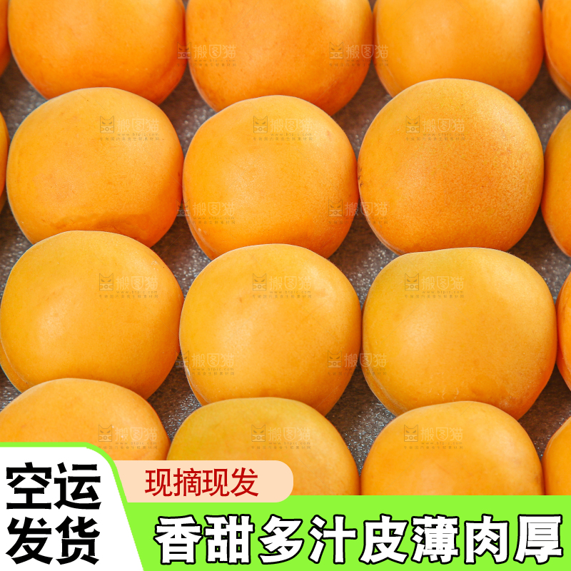 大黄杏
