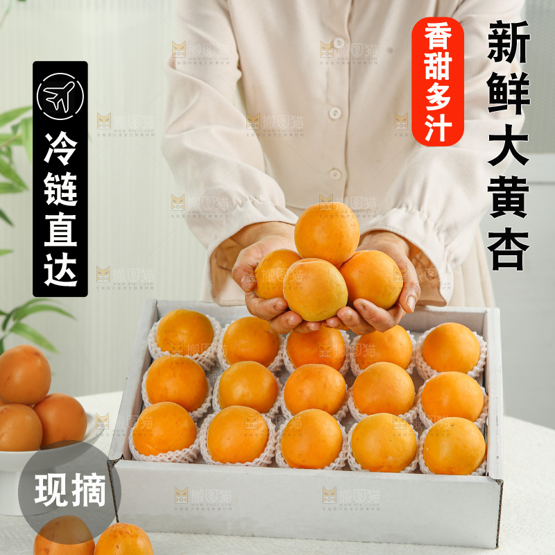 大黄杏